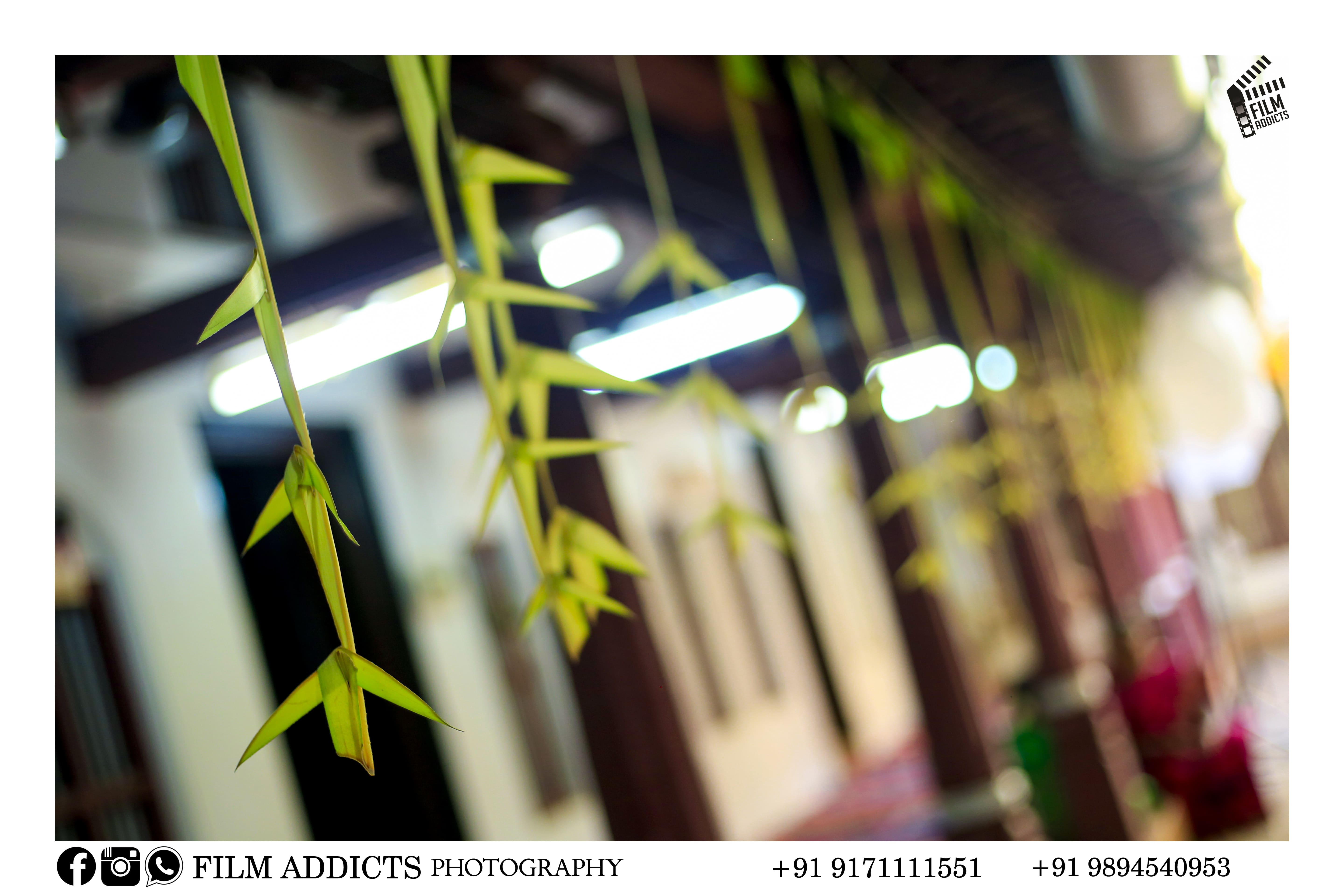 Best wedding photographers in palladam,Best wedding photography in palladam,Best candid photographers in palladam,Best candid photography in palladam,Best marriage photographers in palladam,Best marriage photography in palladam,Best photographers in palladam,Best photography in palladam,Best wedding candid photography in palladam,Best wedding candid photographers in palladam,Best wedding video in palladam,Best wedding videographers in palladam,Best wedding videography in palladam,Best candid videographers in palladam,Best candid videography in palladam,Best marriage videographers in palladam,Best marriage videography in palladam,Best videographers in palladam,Best videography in palladam,Best wedding candid videography in palladam,Best wedding candid videographers in palladam,Best helicam operators in palladam,Best drone operators in palladam,Best wedding studio in palladam,Best professional photographers in palladam,Best professional photography in palladam,No.1 wedding photographers in palladam,No.1 wedding photography in palladam,palladam wedding photographers,palladam wedding photography,palladam wedding videos,Best candid videos in palladam,Best candid photos in palladam,Best helicam operators photography in palladam,Best helicam operator photographers in palladam,Best outdoor videography in palladam,Best professional wedding photography in palladam,Best outdoor photography in palladam,Best outdoor photographers in palladam,Best drone operators photographers in palladam,Best wedding candid videography in palladam,tamilnadu wedding photography, tamilnadu.