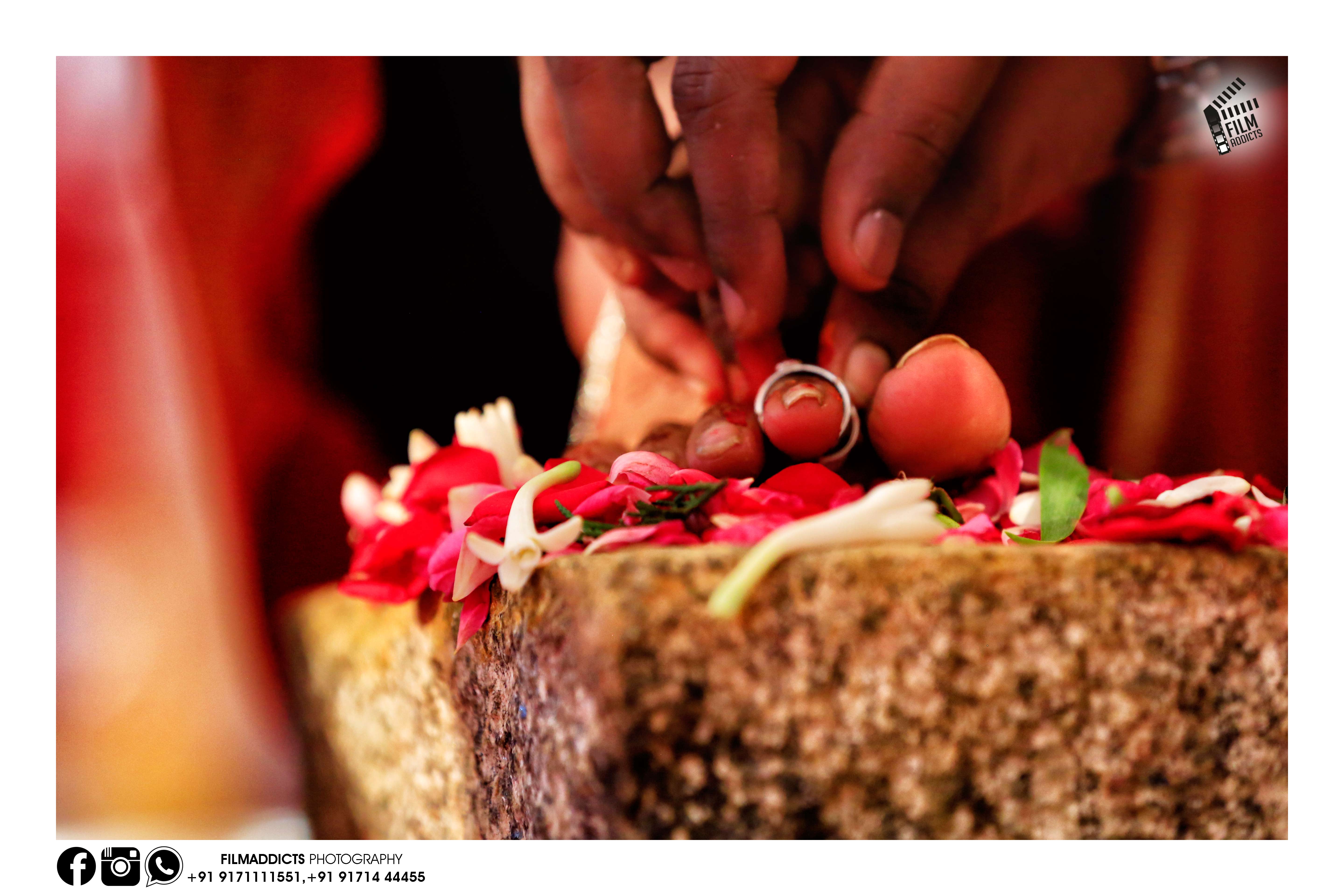 Best wedding photographers in Tirupur,Best wedding photography in Tirupur,Best candid photographers in Tirupur,Best candid photography in Tirupur,Best marriage photographers in Tirupur,Best marriage photography in Tirupur,Best photographers in Tirupur,Best photography in Tirupur,Best wedding candid photography in Tirupur,Best wedding candid photographers in Tirupur,Best wedding video in Tirupur,Best wedding videographers in Tirupur,Best wedding videography in Tirupur,Best candid videographers in Tirupur,Best candid videography in Tirupur,Best marriage videographers in Tirupur,Best marriage videography in Tirupur,Best videographers in Tirupur,Best videography in Tirupur,Best wedding candid videography in Tirupur,Best wedding candid videographers in Tirupur,Best helicam operators in Tirupur,Best drone operators in Tirupur,Best wedding studio in Tirupur,Best professional photographers in Tirupur,Best professional photography in Tirupur,No.1 wedding photographers in Tirupur,No.1 wedding photography in Tirupur,Tirupur wedding photographers,Tirupur wedding photography,Tirupur wedding videos,Best candid videos in Tirupur,Best candid photos in Tirupur,Best helicam operators photography in Tirupur,Best helicam operator photographers in Tirupur,Best outdoor videography in Tirupur,Best professional wedding photography in Tirupur,Best outdoor photography in Tirupur,Best outdoor photographers in Tirupur,Best drone operators photographers in Tirupur,Best wedding candid videography in Tirupur,tamilnadu wedding photography, tamilnadu.